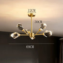 Axyaa Luxury Crystal Chandelier for Living Room and Bedroom, Indoor Ceiling Light