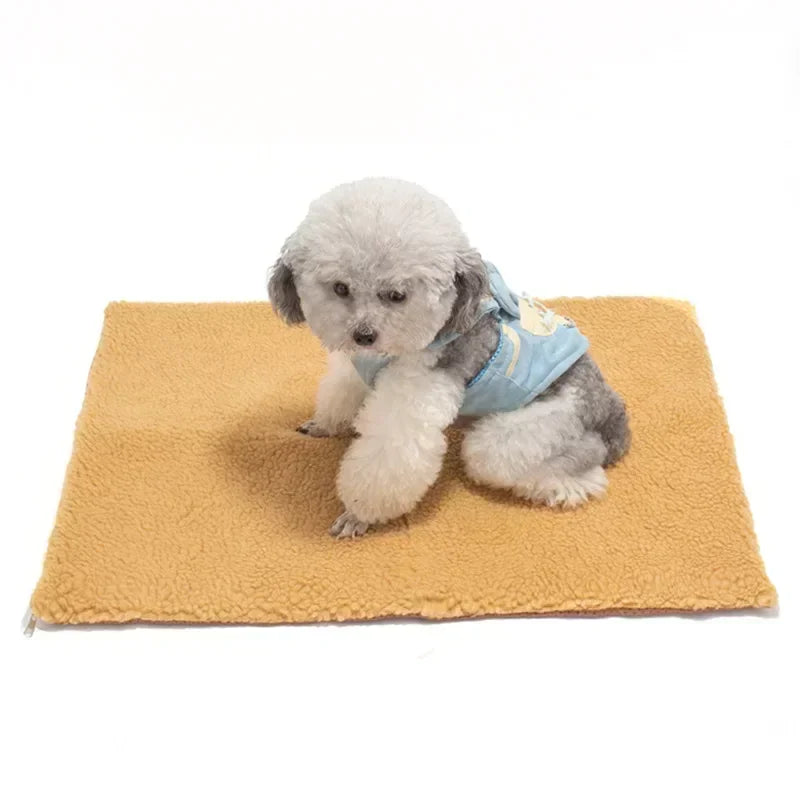 Axyaa Self-Heating Anti-Slip Pet Blanket for Cats and Dogs