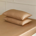 Axyaa Silk Pillowcase Set - 100% Mulberry Silk, Protects Hair and Skin