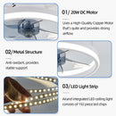 Axyaa Smart LED Ceiling Fan Light for Modern Home Decor