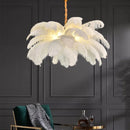 Axyaa Modern Nordic LED Ostrich Feather Ceiling Chandelier