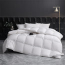 Axyaa Luxe Goose Down Quilt | Fluffy Queen King Size Duvet with Cotton Shell