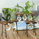 Axyaa Wooden Frame Hydroponic Glass Bulb Vase Planter for Home Decor
