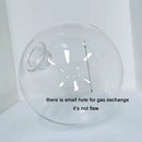 Axyaa Ball Glass Pendant Lamp Globe with 2.2cm Thread for G9 Hanging Light