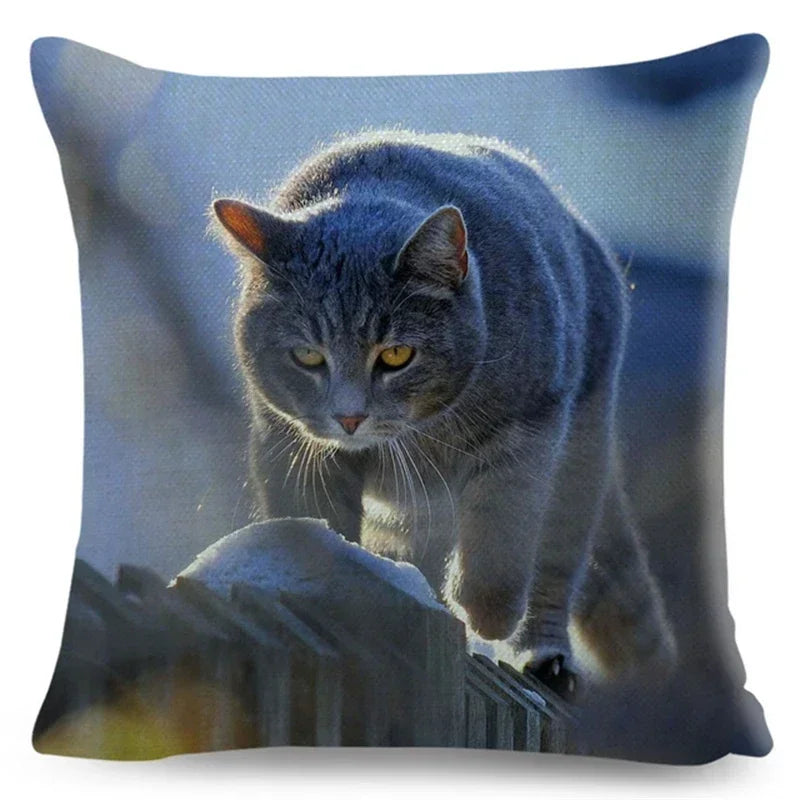 Axyaa Fold Ear Cat Pillow Covers - Set of 2 Cute Pet Pillowcases