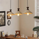 Axyaa Pendant LED Chandelier for Restaurant, Cafe, Bar, Bedroom, Hotel, Teahouse