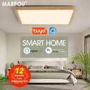 Axyaa Smart Wood Grain LED Ceiling Light for Living Room, App & Voice Control