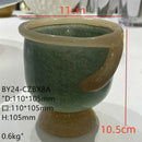 Axyaa Glass Vase Set for Home Decor and Aromatherapy