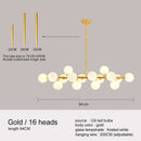 Axyaa Glass Chandelier Pendant Light for Living Room Kitchen Bar Decor