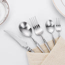 Axyaa Stainless Steel Cutlery Set - Elegant 10 Pcs Western Tableware Flatware