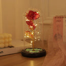 Axyaa Eternal Rose Night Light - LED Beauty and the Beast Magic Flower Lamp