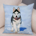 Axyaa Siberian Husky Pet Sofa Cushion Cover - Cute Dog Print Pillowcase