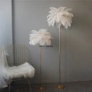 Axyaa Nordic Feather Floor Lamp - LED Standing Light for Living Room and Bedroom