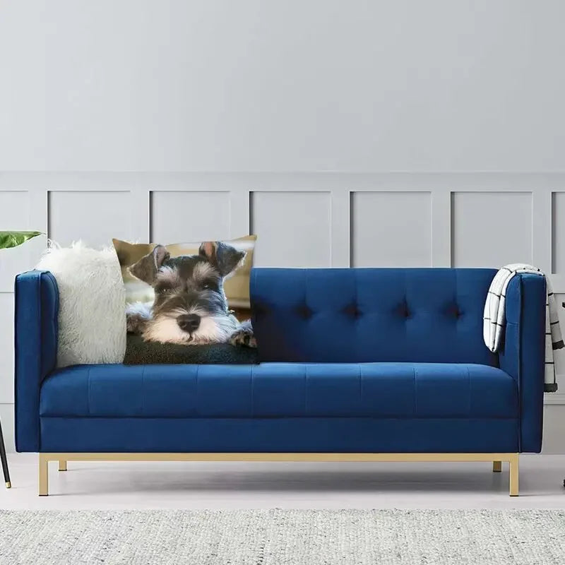 Miniature Schnauzer Puppy Pillow Cover by Axyaa: Cute Dog 3D Cushion for Living Room
