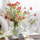 Axyaa Frosting Glass Vase: Nordic Minimalist Style Home Decor for Flowers, Modern Living Room Accent