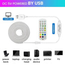 Axyaa Neon LED Rope Strip 360° SMD5050 Remote Control Waterproof Flexible Tape Lamp