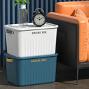 Axyaa Rectangular Storage Box with Lid - Household Closet Organizer