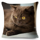 Axyaa Cat Pet Animal Cushion Cover - Cute British Shorthair Russian Blue Pillowcase