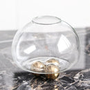 Axyaa Clear Glass Geometric Vase with Golden Ball - Home Decor Floral Arrangement Accessories