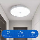 Axyaa LED Ceiling Light with Motion Sensor for Home Entryways & Staircases