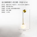 Axyaa Nordic Gold LED Wall Lamp Modern for Living Room Bedroom Home Decor