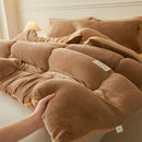 Axyaa Milk Velvet Winter Warm Bed Blanket Queen Size Soft Flannel Quilt Plush Comforter