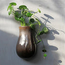Axyaa Ceramic Wall Vases Artistic Flower Decor Hydroponic Dried Arrangement