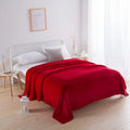 Axyaa Super Soft Reversible Mink Fleece Throw Blanket Twin Queen Size