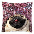Axyaa Influencer Pug Cushion Cover - Funny Dog Home Decor Pillow Case