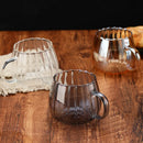 Axyaa Pumpkin Glass Cups - 400ml High Borosilicate Coffee Tea Drinkware