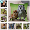 Axyaa Wild Owl Cushion Cover: Decorative Sofa Pillowcase for Home and Children's Room
