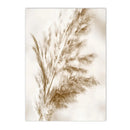 Axyaa Dried Grass Reed Landscape Wall Art Print for Home Decor