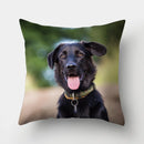 Dog Pattern Cushion Cover for Home Decor by Axyaa