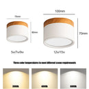 Axyaa LED Macaron Ceiling Downlight for Indoor Living Room - Nordic Spot Light