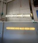 Axyaa Glass Chandeliers: Modern Minimalist Designer Lighting Fixture for Bedroom, Living Room, Bar