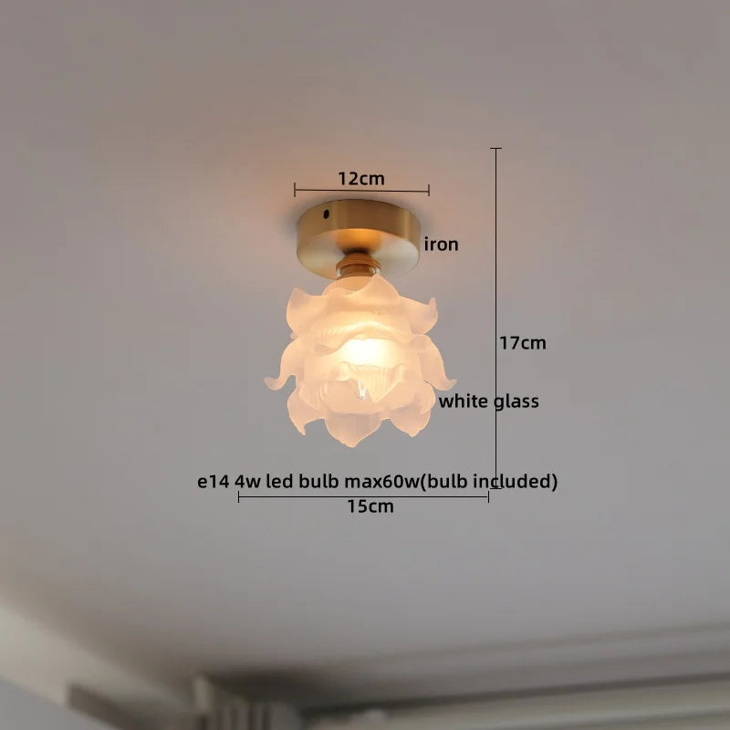 Axyaa Copper Glass LED Ceiling Light for Home Decor - Nordic Style Fixtures