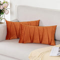 Axyaa Velvet Lumbar Throw Pillow Covers 12x20 Inch - Farmhouse Cushion Cover Cojines