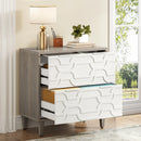 Axyaa 2-Drawer Lateral File Cabinet for Office Storage and Organization