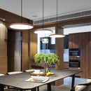 Axya Rose Gold UFO Design Metal Acrylic Pendant Light