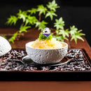 Axyaa Volcanic Stone White Bowl Set - Modern Crafted Ceramic Dish for Serving