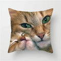Axyaa Cute Cat Animal Pillowcase for Sofa Decoration in Living Room
