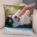 Siberian Husky Pillowcase - Axyaa Animal Cushion Cover, Decor, Cute, Dog Print