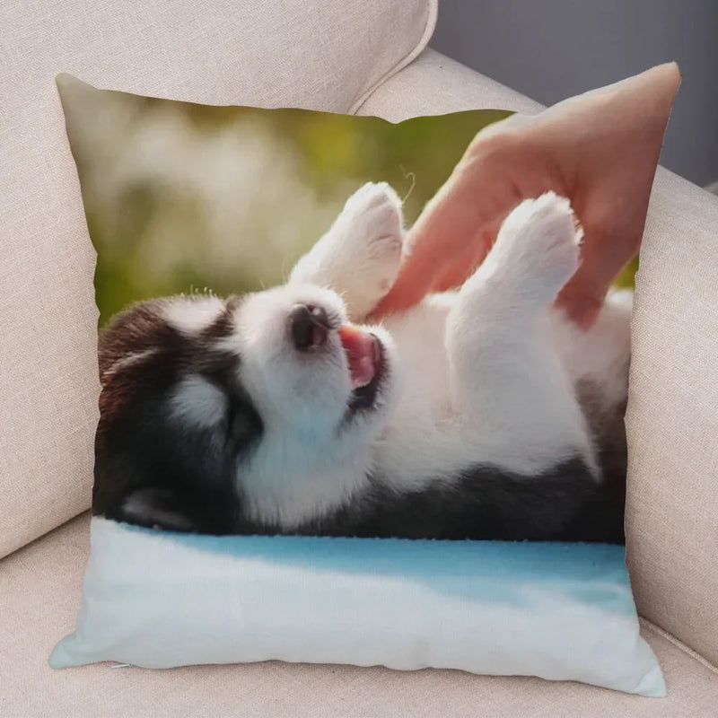 Siberian Husky Pillowcase - Axyaa Animal Cushion Cover, Decor, Cute, Dog Print