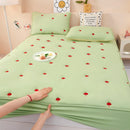 Axyaa Embroidered Padded Fitted Sheet, Washed Cotton, Single Piece, Non-Slip, All-Inclusive
