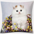 Cute Cat Series Pillowcase for Home Decor by Axyaa