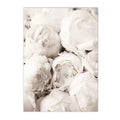 Axyaa Beige Bunny Tail Grass Pampas Reed Wall Art Print & Decor