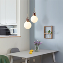 Axyaa Arc Globe Pendant Light Scandinavian style glass ball lamp for home decor