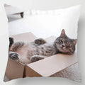 Axyaa Cute Cat Hug Pillowcase Interactive Cushion for Home Sofa Decor
