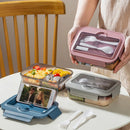 Axyaa Lunch Box Set: Leakproof, Microwave Safe, Divided, for Office Workers, Picnic, Camping