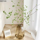 Axyaa Glass Hydroponic Vase Small Mouth Decorative Dried Flower Arrangement Craft